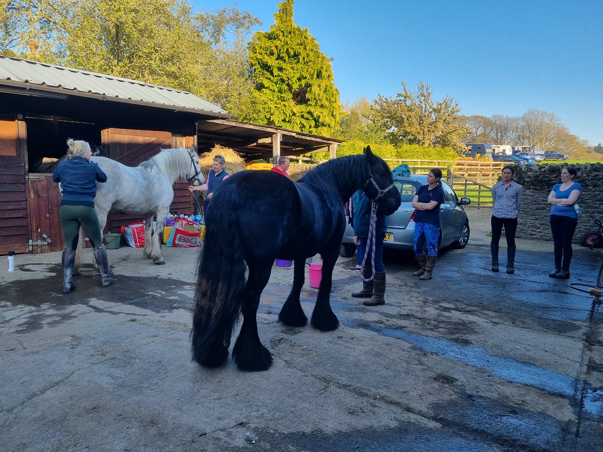 black pony with an audience of students