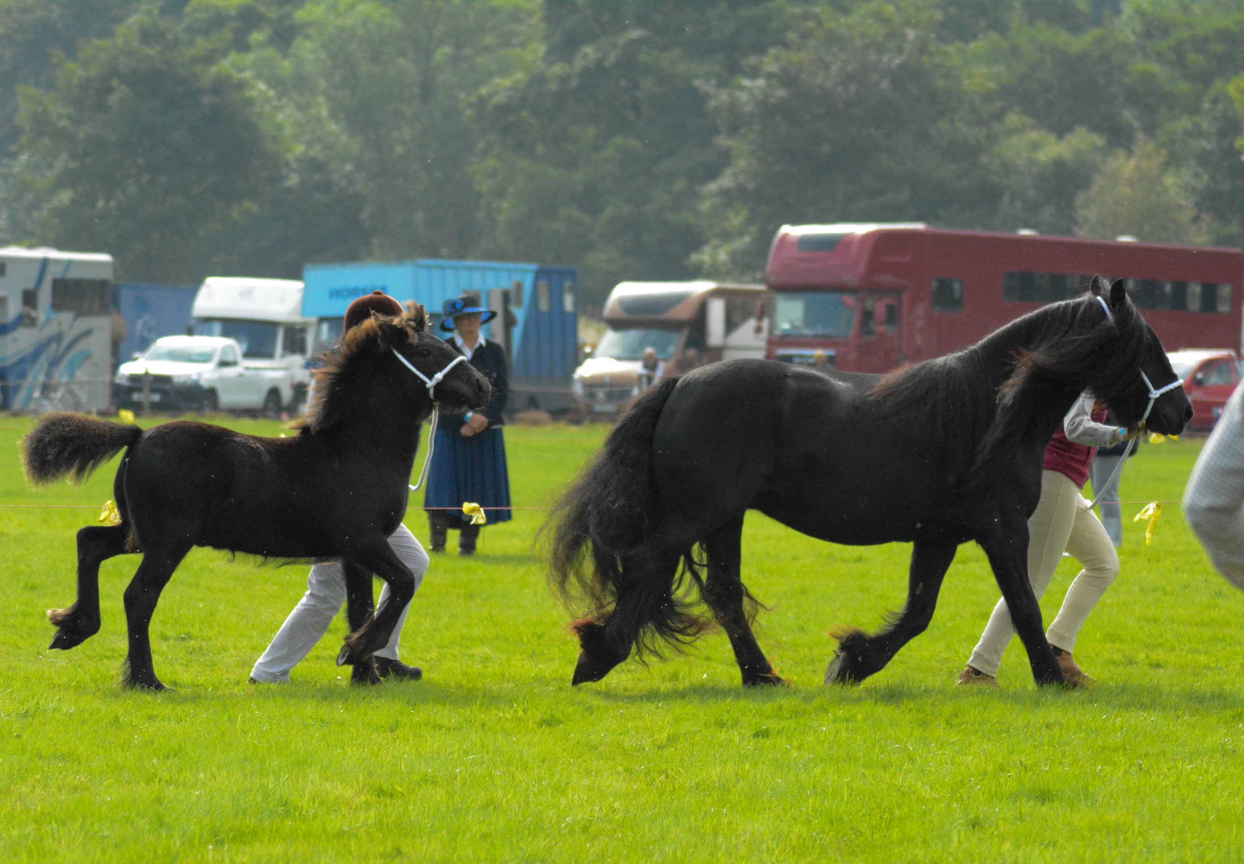 Mare and foal at a show