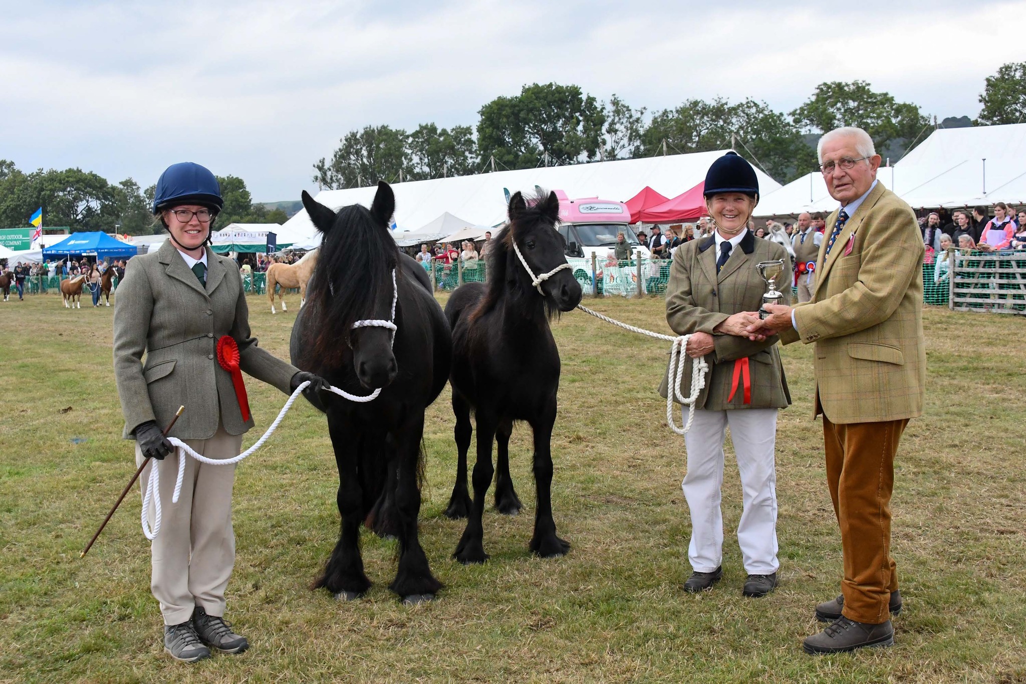 black fell pony and foal at a show