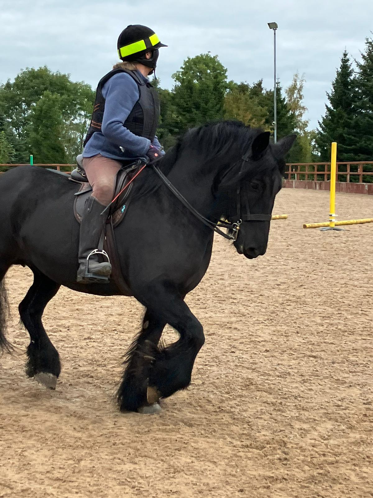 black pony and rider