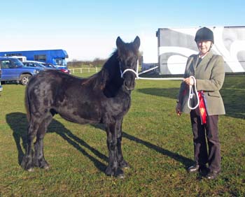 Rackwood Hugo in November 2012: NPS Area 4 M&M Champion