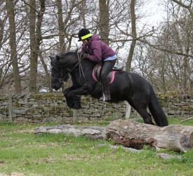 Rackwood Princess learning to jump