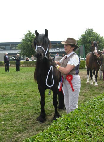 Maggie May in the Cuddy Supreme at the GYS