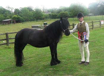 Rackwood Princess, Fell Champion at Cleveland Show 2013 