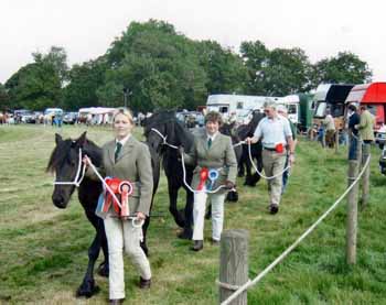 fell pony Rackwood Annie, Champion, in Wolsingham Show Grand Parade