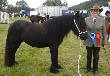 Rackwood Princess at wolsingham show