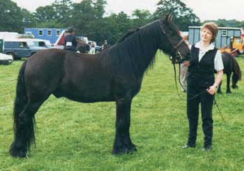  Rackwood Thistle at the FPS BReed show in 2000