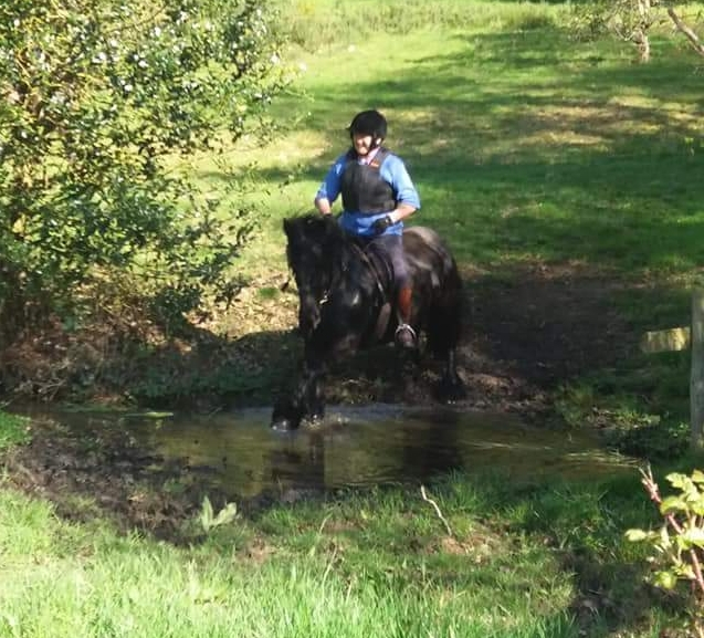 black fell mare jumping watersplash