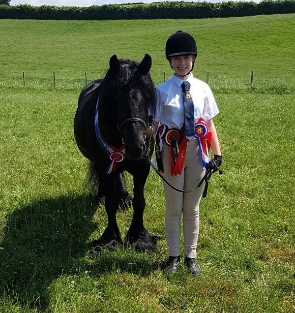 Maggie May, black fell pony mare, supreme champion