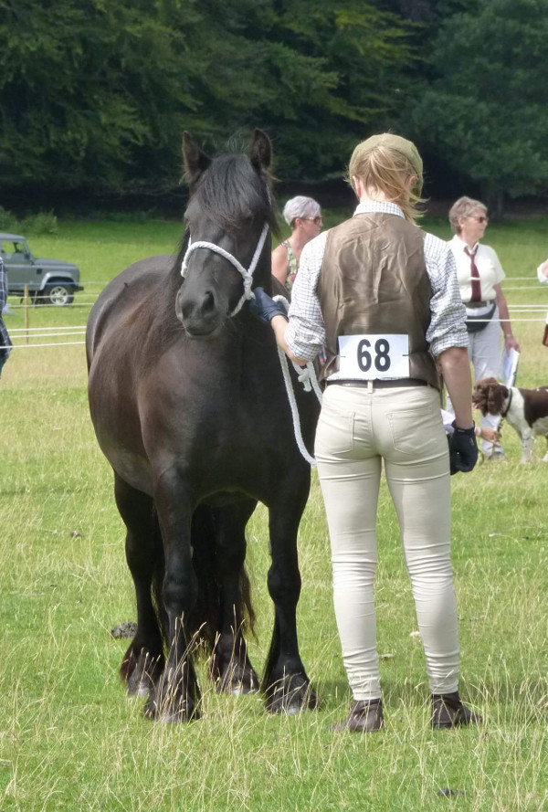 Sophie at FPS Breed Show 2018