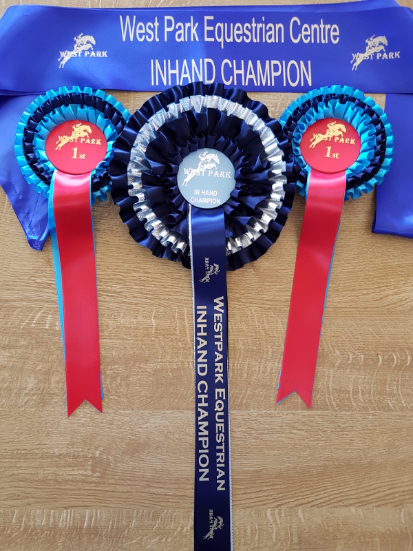 Sophie's Sash & Rosettes from West Park 15-07-2018