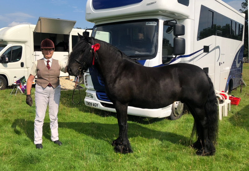 black fell mare prize winner
