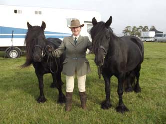 Fell ponies Princess and Maggie May ready to begin the in-hand classes at FPS Southern Show 2014