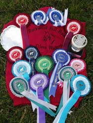 Rosettes and sashes, Princess and Maggie May's winnings at the FPS Southern Show 2014