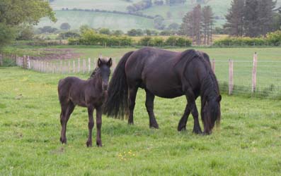 Rackwood Lloyd, 3 weeks old