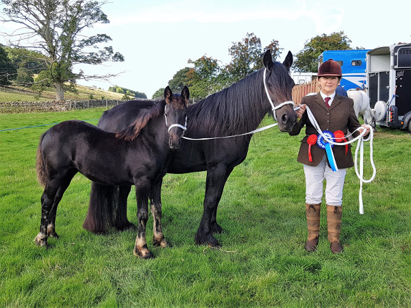 Rackwood Lucky Lady & Rackwood Maydew at Eggleston Show September 2018.