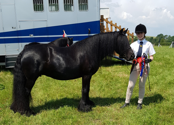 Maggie May In-Hand Champion FPS South Cumbrian 10-06-2018