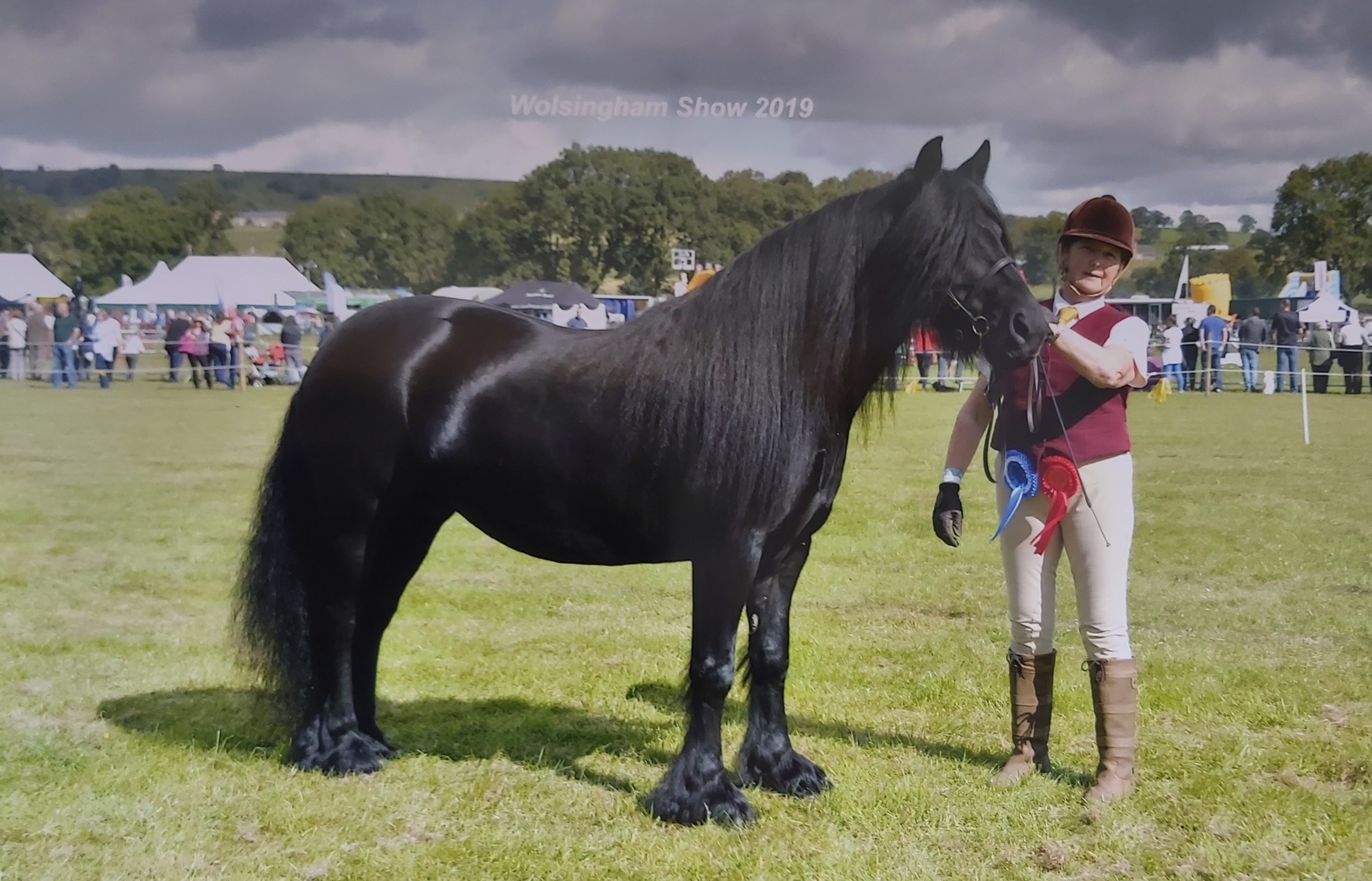 black fell mare at Wolsingham show