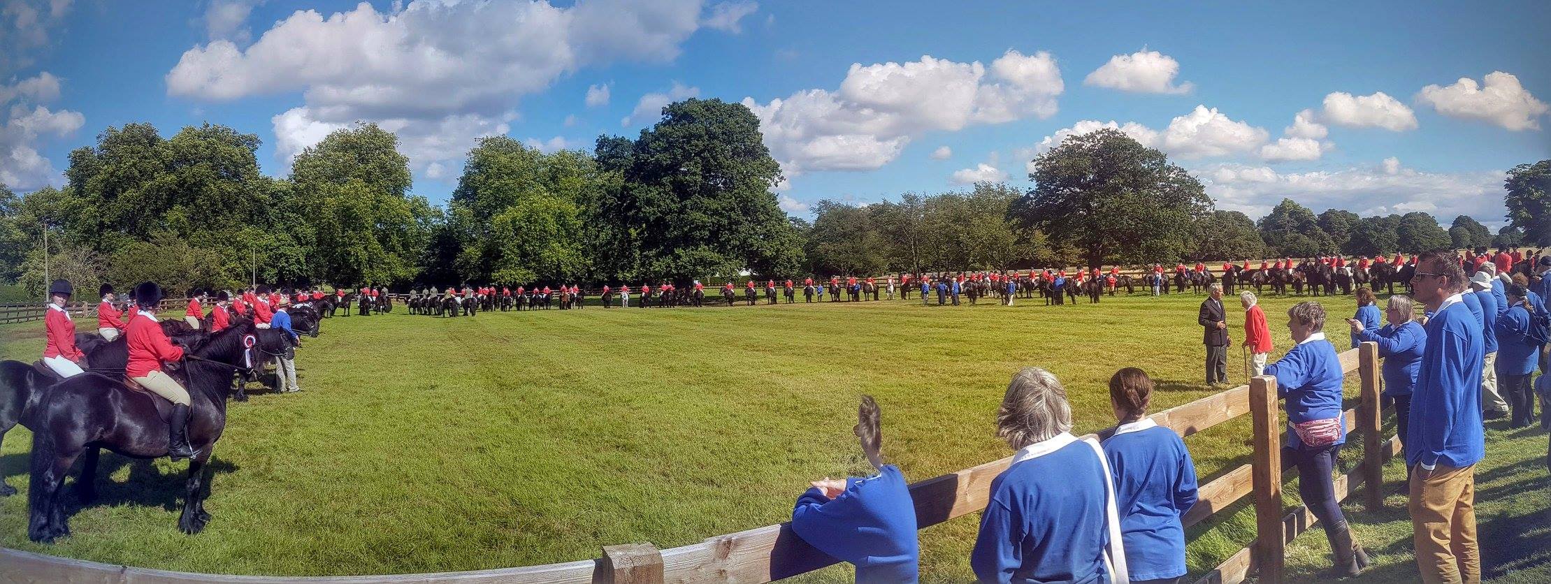 135 Fell ponies as a Guard of Honour to HM The Queen, in a green paddock at Windsor